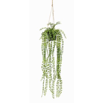 Fake Hanging basket with creeping fig PANJA, decorative pot, green, 24"/60cm