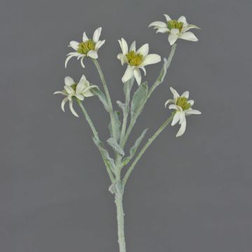 Artificial edelweiss SOPHIA, white, 16"/40cm, Ø2"-2.4"/5-6cm