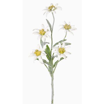 Artificial edelweiss SOPHIA, white, 16"/40cm, &Oslash;2"-2.4"/5-6cm