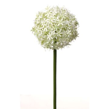 Artificial allium SAMARA, cream, 31"/75cm, Ø4.7"/12cm