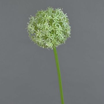 Artificial allium SAMARA, cream, 31"/75cm, Ø4.7"/12cm
