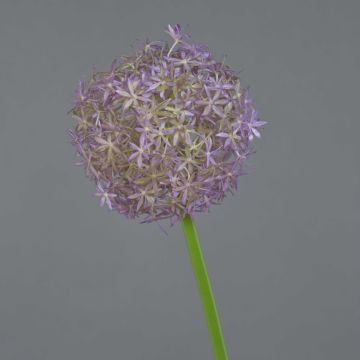 Artificial allium SAMARA, purple, 31"/75cm, Ø4.7"/12cm