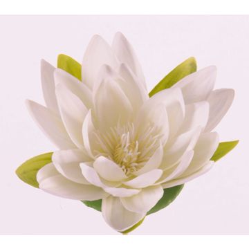 Fake water lily SCILLA, floating, cream, 1.6"/4cm, Ø6.3"/16cm