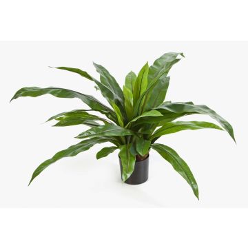 Artificial Bird's-nest fern JANE, green, 31"/80cm, Ø 31"/80cm