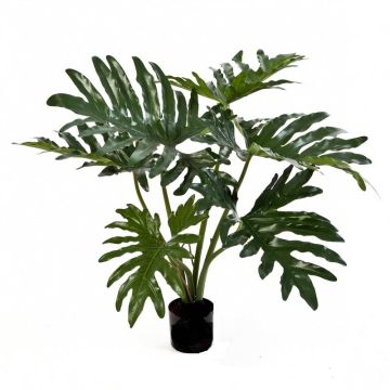 Artificial Philodendron Monstera Deliciosa LAINA, green, 24"/60cm Artificial Philodendron Monstera Deliciosa LAINA, green, 24"/60cm