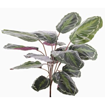 Artificial Calathea medallion BRIHANNA, spike, green, 30"/75cm Artificial Calathea medallion BRIHANNA, spike, green, 30"/75cm