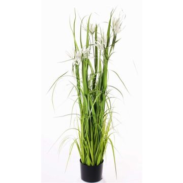 Artificial star grass TAIGA with panicles, green, 5ft/140cm Artificial star grass TAIGA with panicles, green, 5ft/140cm