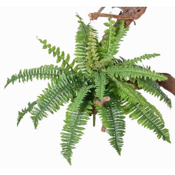 Fake Boston fern ARALU, on spike, green, 14"/35cm, Ø16"/40cm Fake Boston fern ARALU, on spike, green, 14"/35cm, Ø16"/40cm