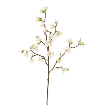 Decorative Apple blossom spray SADAKA, cream, 28"/70cm, Ø1.2"-1.6"/3-4cm Decorative Apple blossom spray SADAKA, cream, 28"/70cm, Ø1.2"-1.6"/3-4cm