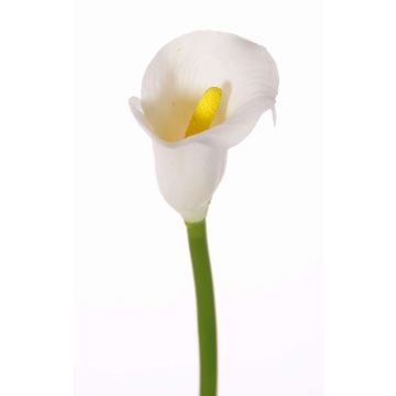 Artificial calla CHIDORA, white, 22"/55cm, 2"x2.4"/5x6cm