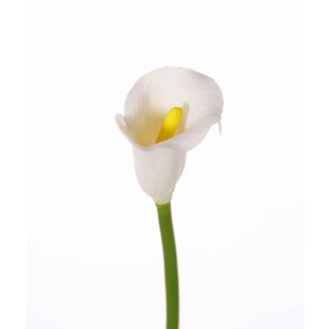 Artificial calla CHIDORA, white, 22"/55cm, 2"x2.4"/5x6cm Artificial calla CHIDORA, white, 22"/55cm, 2"x2.4"/5x6cm