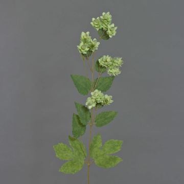 Fake Hops spray AXEL, with flowers, green, 26"/65cm Fake Hops spray AXEL, with flowers, green, 26"/65cm