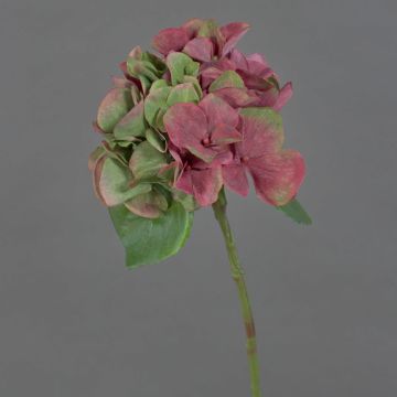 Artificial hydrangea CHIDORI, red-green, 12"/30cm, Ø5.1"/13cm Artificial hydrangea CHIDORI, red-green, 12"/30cm, Ø5.1"/13cm