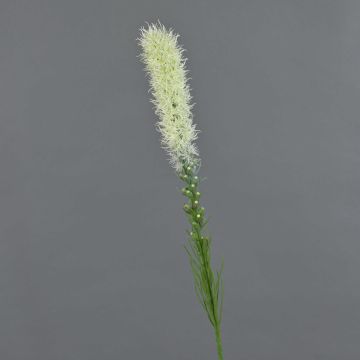 Fake liatris spicata MITSA, cream, 31"/80cm, Ø2"/5cm Fake liatris spicata MITSA, cream, 31"/80cm, Ø2"/5cm