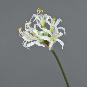 Artificial swamp lily MONJA, white, 28"/70cm, Ø4.7"/12cm