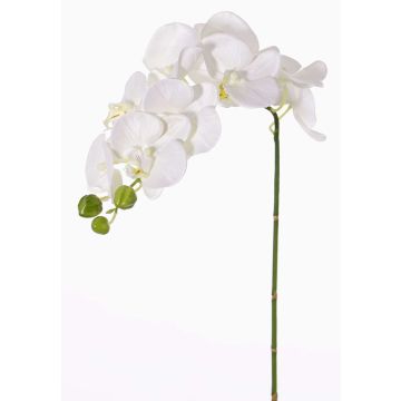 Artificial phalaenopsis spray GALINA, cream, 18"/45cm, Ø2.8"-3.1"/7-8cm