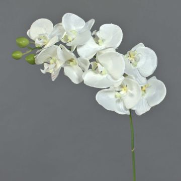 Artificial phalaenopsis spray GALINA, cream, 18"/45cm, Ø2.8"-3.1"/7-8cm