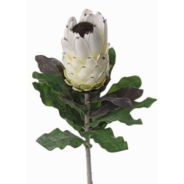 Artificial protea NELLI, white-yellow, 30"/75cm, Ø3.1"/8cm Artificial protea NELLI, white-yellow, 30"/75cm, Ø3.1"/8cm