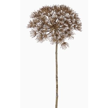 Artificial hogweed ANSARI, brown, 31"/80cm, Ø9"/22cm
