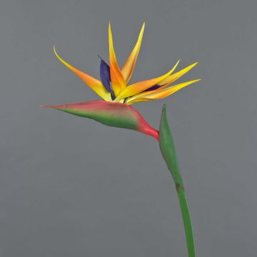 Fake strelitzia LATIFA, orange-violet, 31"/80cm, 7"x8"/17x20cm