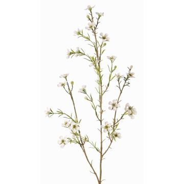Fake waxflower spray NIANG, cream, 31"/80cm, Ø0.6"-1"/1.5-2.5cm Fake waxflower spray NIANG, cream, 31"/80cm, Ø0.6"-1"/1.5-2.5cm