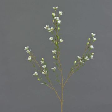 Fake waxflower spray NIANG, cream, 31"/80cm, Ø0.8"-1.2"/2-3cm