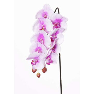 Artificial phalaenopsis spray ENISA, pink-white, 24"/60cm, Ø2.8"-3.1"/7-8cm Artificial phalaenopsis spray ENISA, pink-white, 24"/60cm, Ø2.8"-3.1"/7-8cm