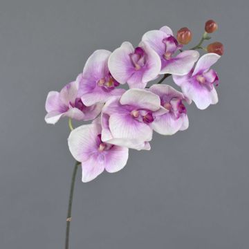 Artificial phalaenopsis spray ENISA, pink-white, 18"/45cm, Ø2.8"/7cm