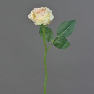 Fake rose GABI, cream-pink, 10"/25cm, Ø2"/5cm
