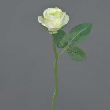 Fake rose GABI, cream-green, 10"/25cm, Ø2"/5cm