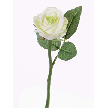Fake rose GABI, cream-green, 12"/30cm, Ø2.4"/6cm Fake rose GABI, cream-green, 12"/30cm, Ø2.4"/6cm