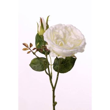 Fake rose spray JUDY, cream, 14"/35cm, Ø3.1"/8cm Fake rose spray JUDY, cream, 14"/35cm, Ø3.1"/8cm