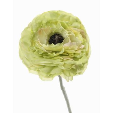 Fake ranunculus ALIMA, green, 14"/35cm, Ø3.1"/8cm