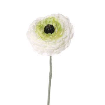 Fake ranunculus ALIMA, cream-green, 14"/35cm, Ø3.1"/8cm Fake ranunculus ALIMA, cream-green, 14"/35cm, Ø3.1"/8cm