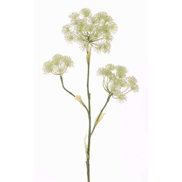 Artificial hogweed ABDEROS, cream, 3ft/105cm, Ø4.7"-8"/12-20cm Artificial hogweed ABDEROS, cream, 3ft/105cm, Ø4.7"-8"/12-20cm