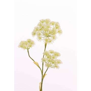 Artificial hogweed ABDEROS, cream, 3ft/105cm, Ø4.7"-8"/12-20cm