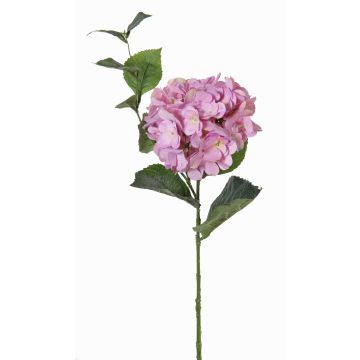 Artificial hydrangea ASUKA, purple, 31"/80cm, Ø5.9"/15cm