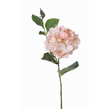 Artificial hydrangea ASUKA, pink, 31"/80cm, Ø5.9"/15cm Artificial hydrangea ASUKA, pink, 31"/80cm, Ø5.9"/15cm