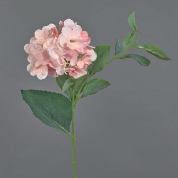 Artificial hydrangea ASUKA, light pink, 31"/80cm, Ø6"/15cm