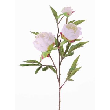 Artificial peony MANJA, white, 28"/70cm, Ø3.1"-3.9"/8-10cm Artificial peony MANJA, white, 28"/70cm, Ø3.1"-3.9"/8-10cm