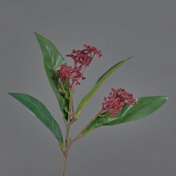 Artificial Skimmia spray EBONY, with flowers, red, 14"/35cm