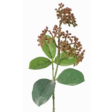 Fake viburnum tinus spray LAZAROS, purple-green, 14"/35cm, Ø2"/5cm Fake viburnum tinus spray LAZAROS, purple-green, 14"/35cm, Ø2"/5cm