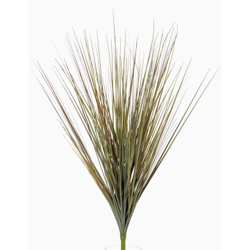 Silk sedge grass AMILO, on spike, green-brown, 26"/65cm Silk sedge grass AMILO, on spike, green-brown, 26"/65cm