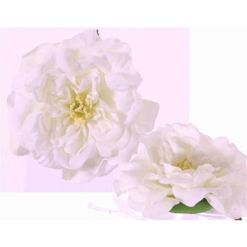 Fake rose blossom SASKIA, floating, cream, 2"/5cm, Ø5.9"/15cm Fake rose blossom SASKIA, floating, cream, 2"/5cm, Ø5.9"/15cm