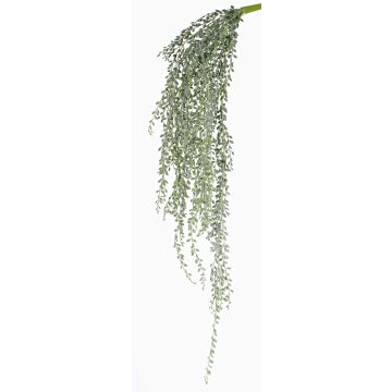 Fake senecio KANELO, spike, green-grey, 31"/80cm Fake senecio KANELO, spike, green-grey, 31"/80cm