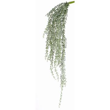 Fake senecio KANELO, spike, green-grey, 31"/80cm