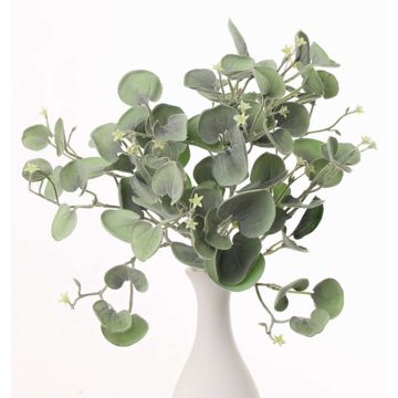 Silver ponysfoot bush / Dichondra argentea RONAS, 85 leaves, green, 10"/25cm