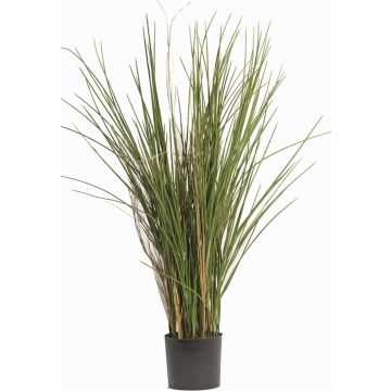 Silk reed grass DELSIN, crossdoor, green-brown, 31"/80cm Silk reed grass DELSIN, crossdoor, green-brown, 31"/80cm