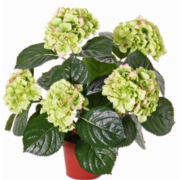 Artificial flower hydrangea TEMARI, green, 16"/40cm, Ø3.9"-4.7"/10-12cm Artificial flower hydrangea TEMARI, green, 16"/40cm, Ø3.9"-4.7"/10-12cm