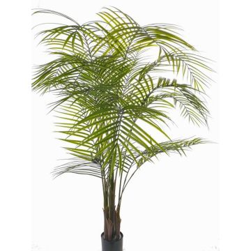 Artificial Areca palm MELMAN, crossdoor, 6ft/175cm